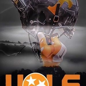 Meet your Posher, Bobcat